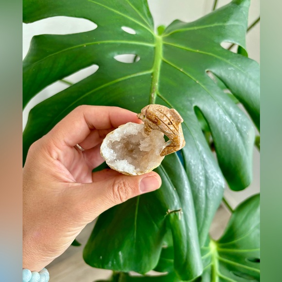 Dolphin Carving on Quartz Geode - Picture 4 of 4